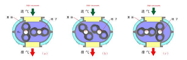 罗茨真空泵的工作原理图片