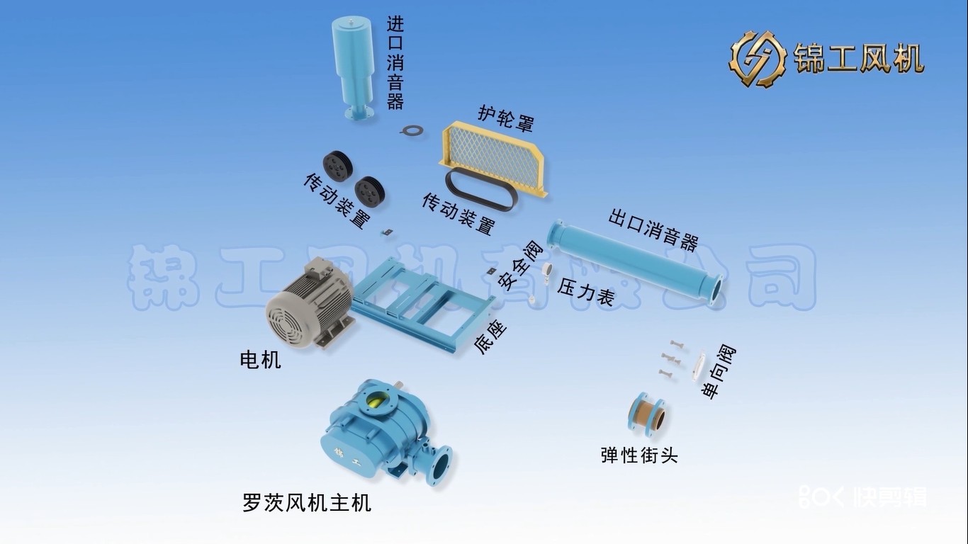 罗茨风机内部结构图片